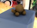turtle_exp.jpg